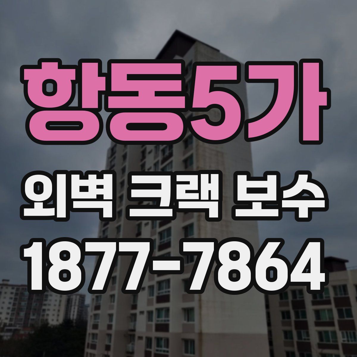 항동5가 외벽 크랙 보수