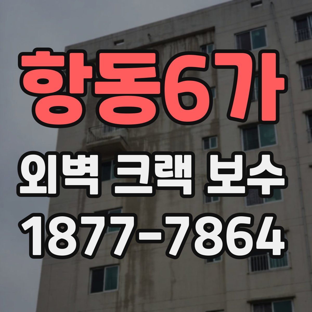 항동6가 외벽 크랙 보수