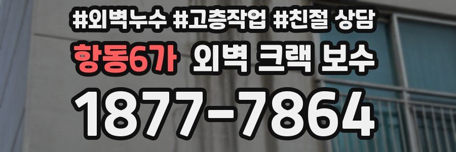 항동6가 외벽 크랙 보수