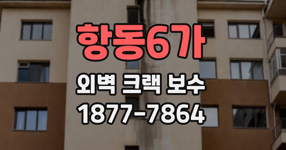 항동6가 외벽 크랙 보수