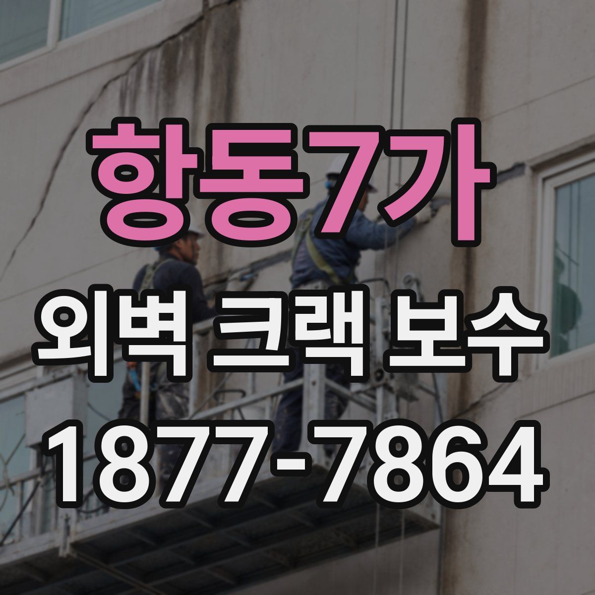 항동7가 외벽 크랙 보수