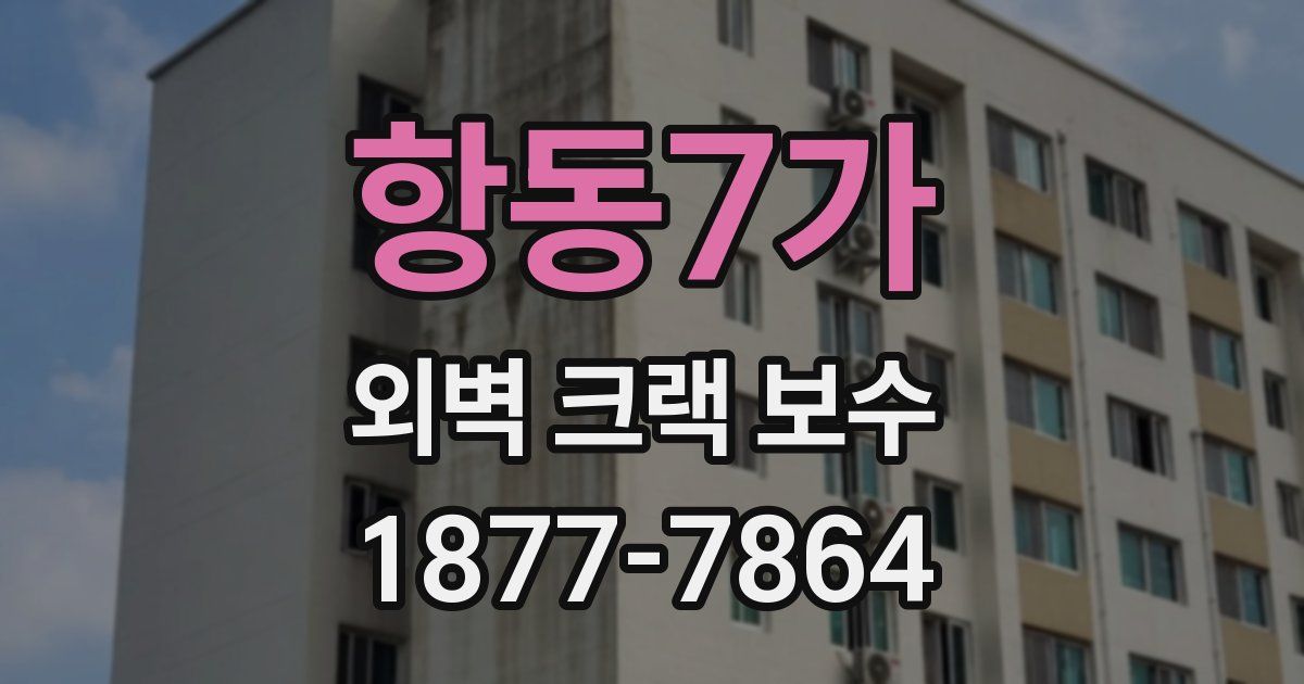 항동7가 외벽 크랙 보수