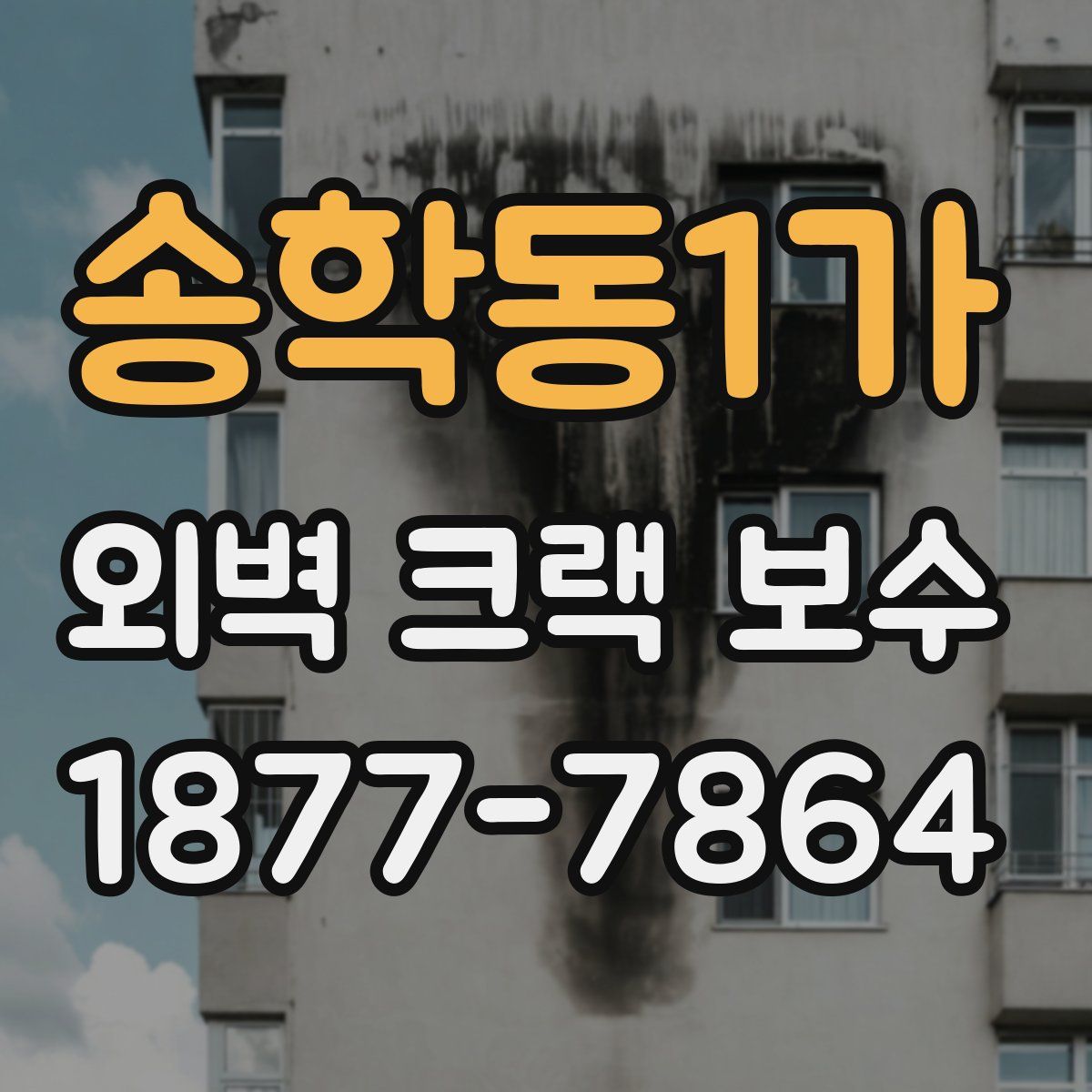 송학동1가 외벽 크랙 보수