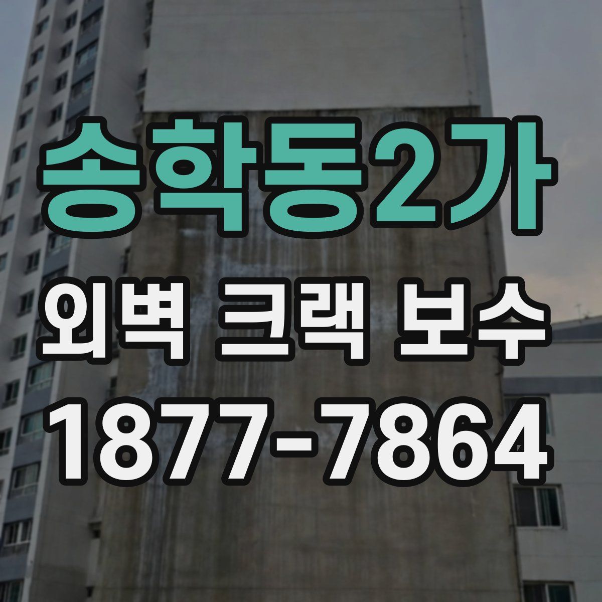 송학동2가 외벽 크랙 보수