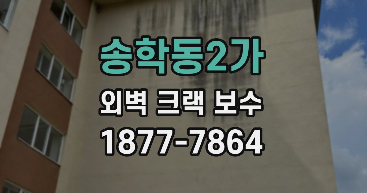 송학동2가 외벽 크랙 보수