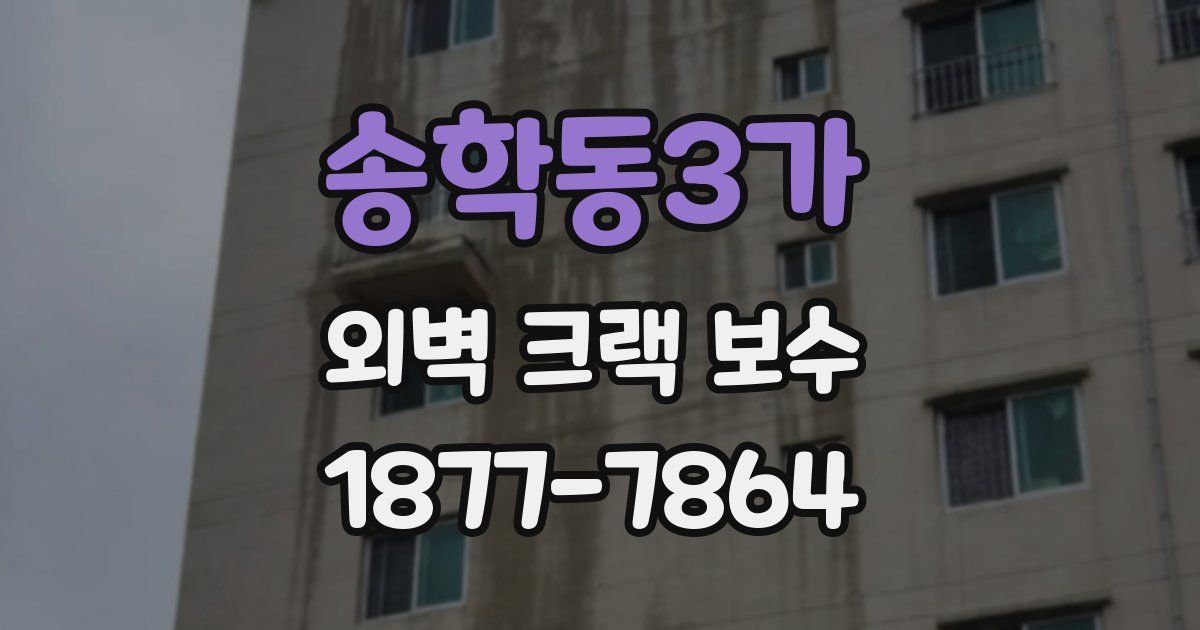 송학동3가 외벽 크랙 보수