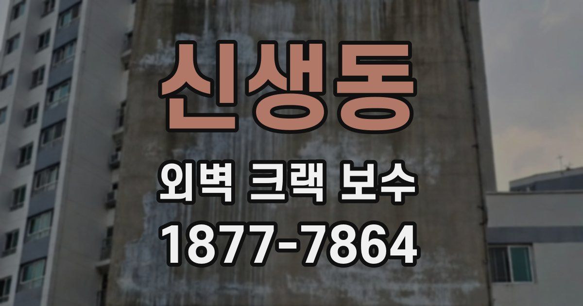 신생동 외벽 크랙 보수
