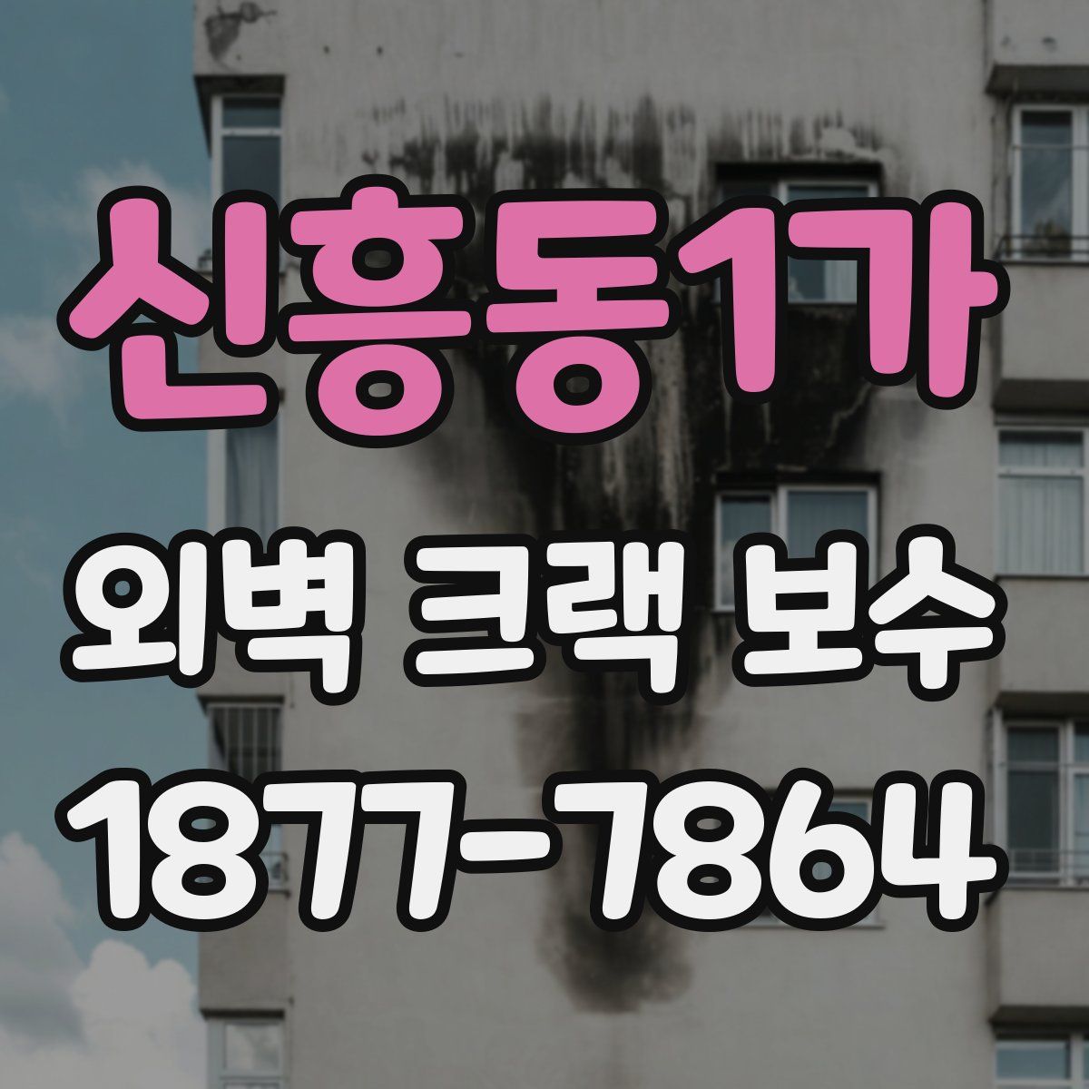 신흥동1가 외벽 크랙 보수
