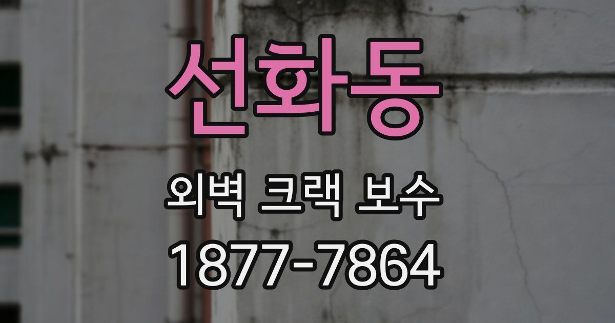 선화동 외벽 크랙 보수