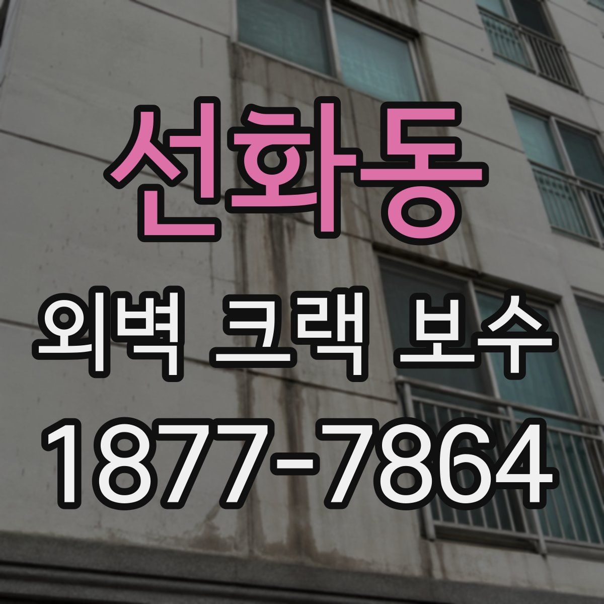 선화동 외벽 크랙 보수