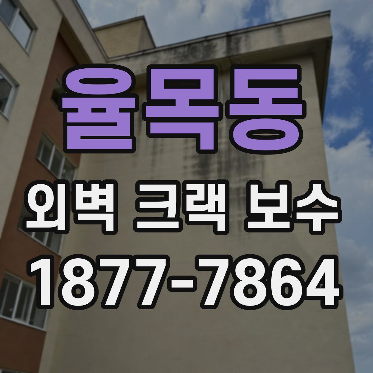 율목동 외벽 크랙 보수