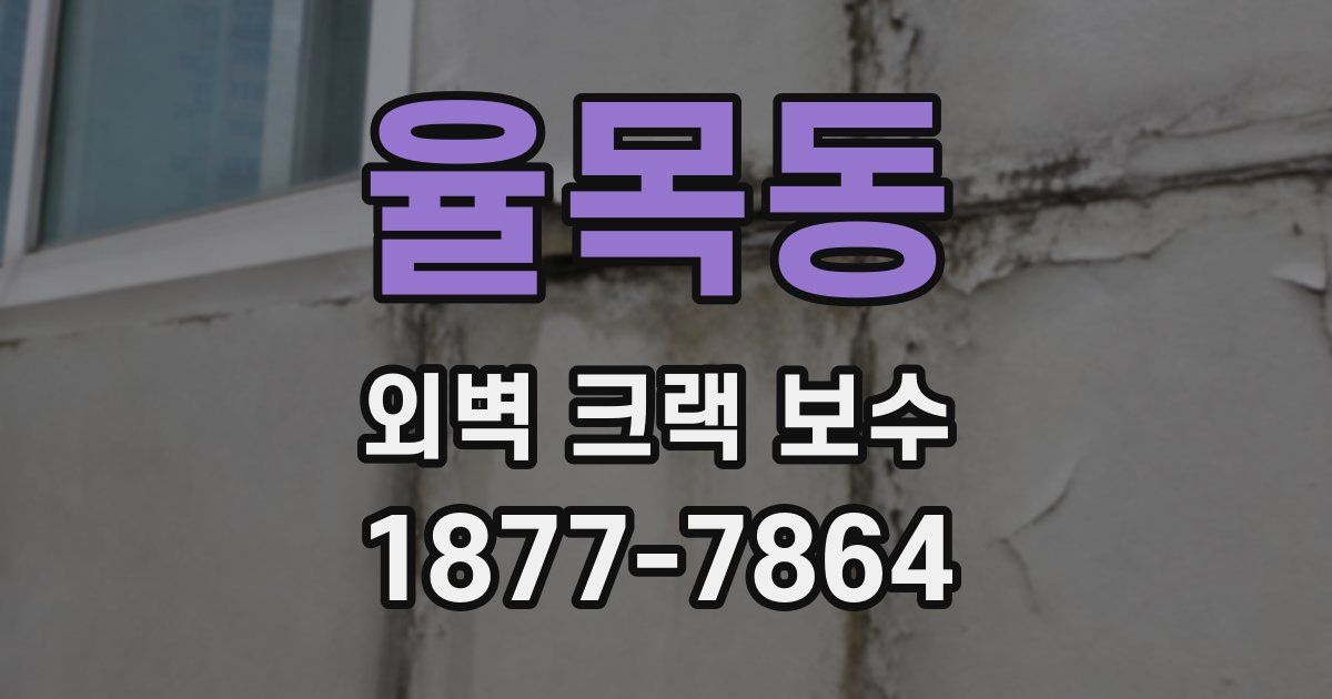 율목동 외벽 크랙 보수