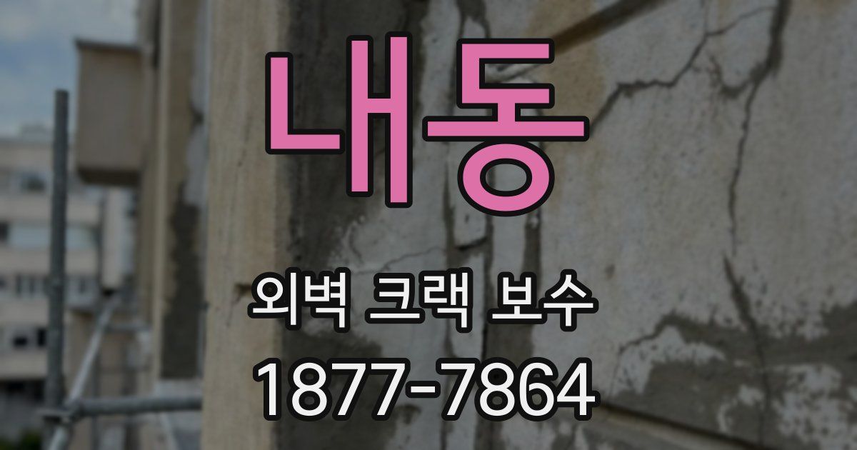 내동 외벽 크랙 보수