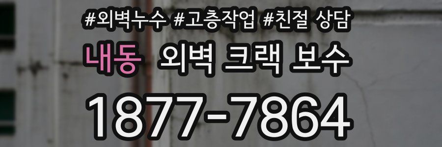내동 외벽 크랙 보수