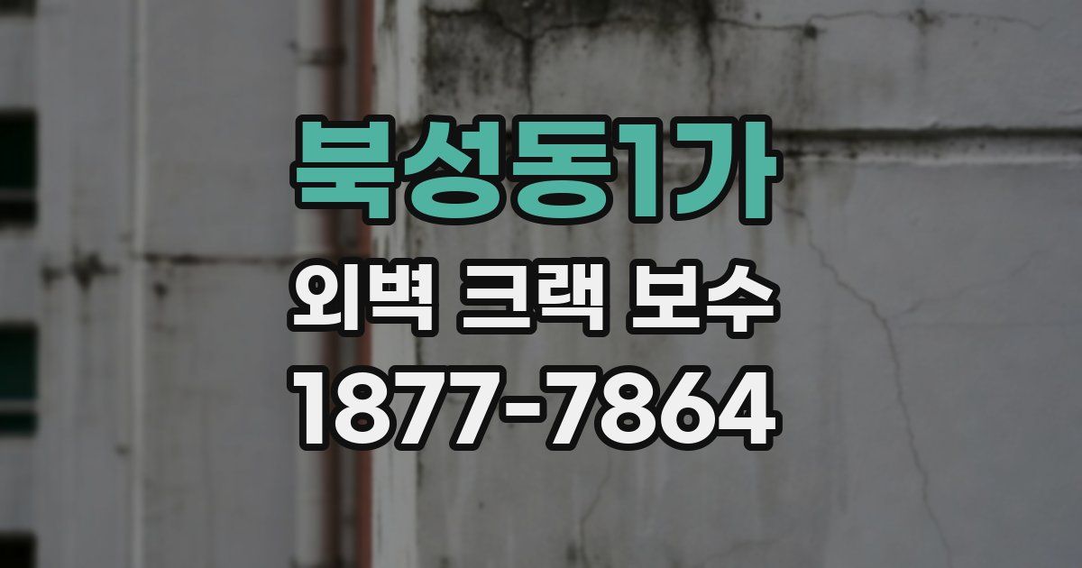 북성동1가 외벽 크랙 보수