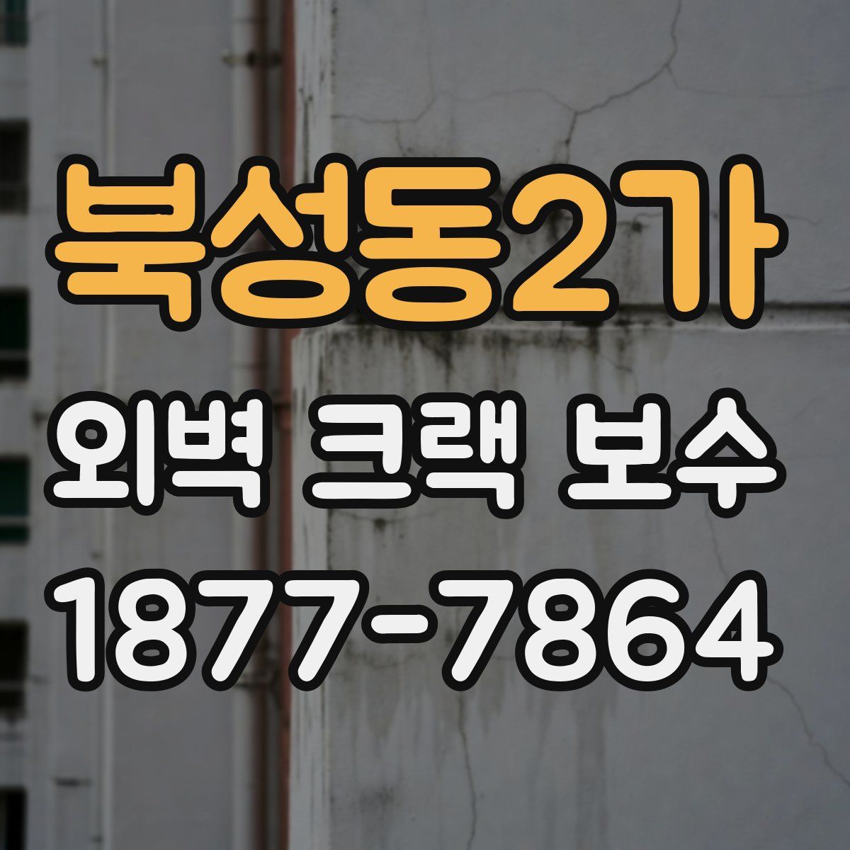 북성동2가 외벽 크랙 보수