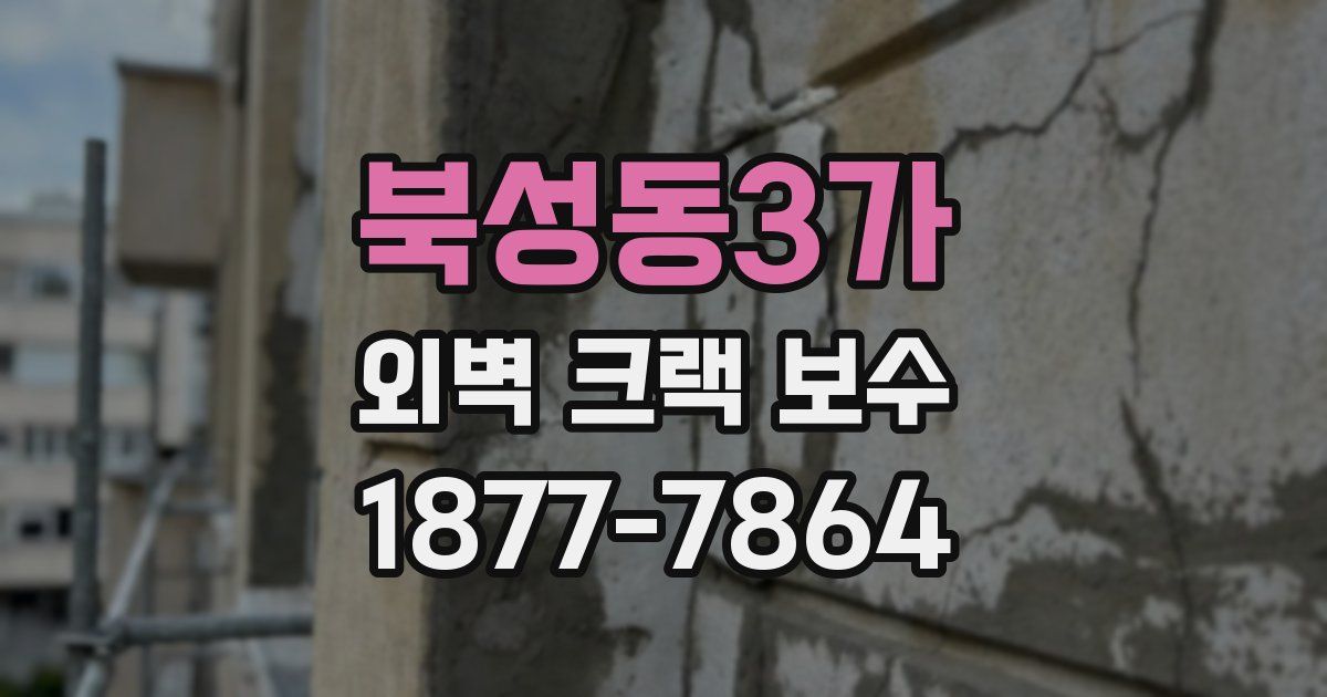 북성동3가 외벽 크랙 보수
