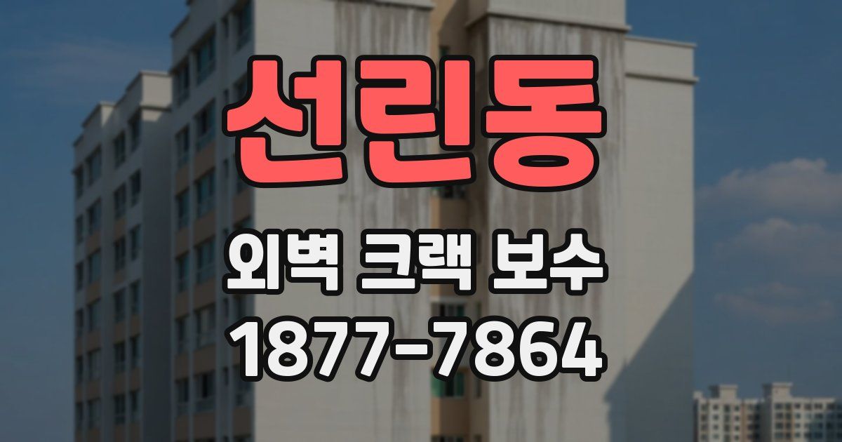 선린동 외벽 크랙 보수