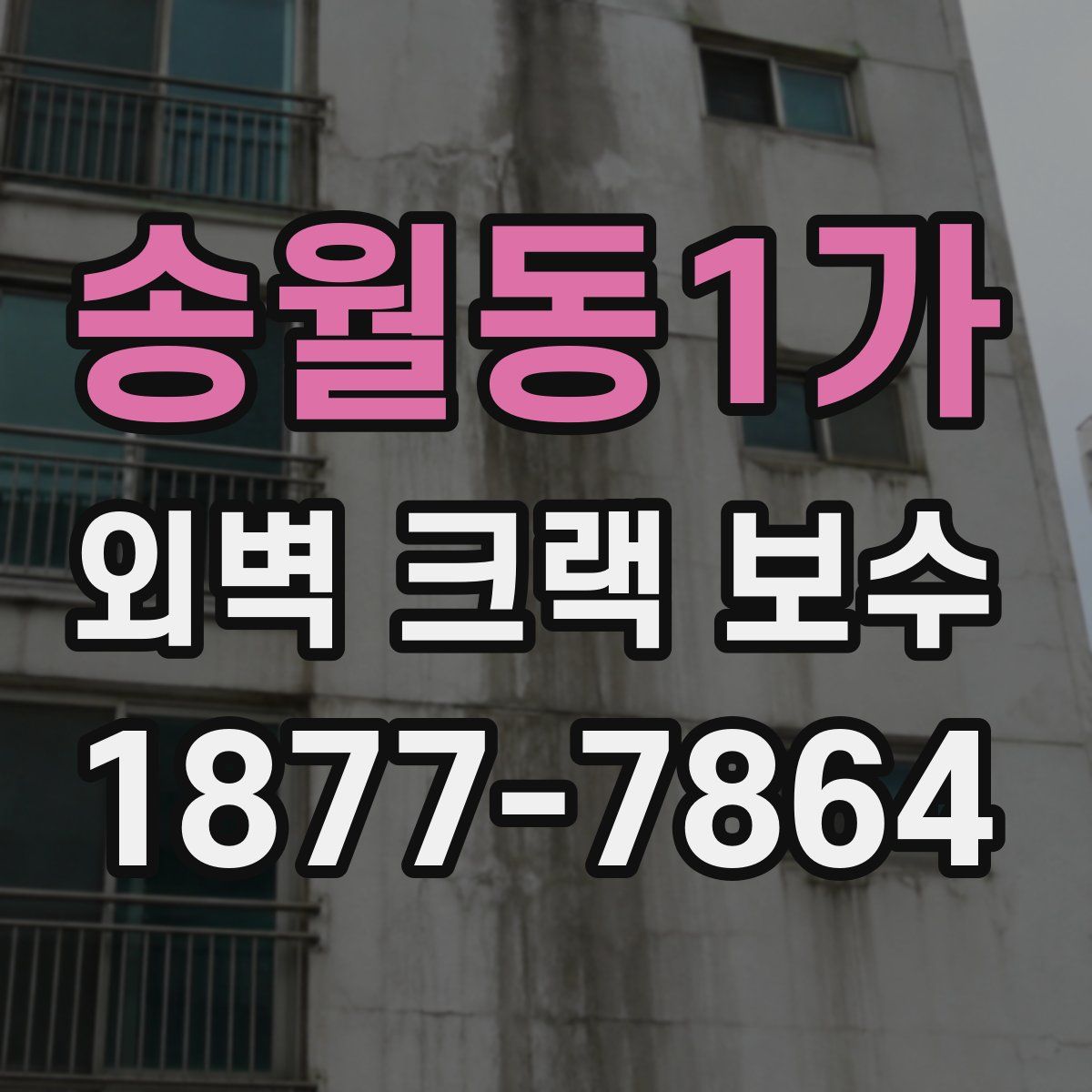 송월동1가 외벽 크랙 보수
