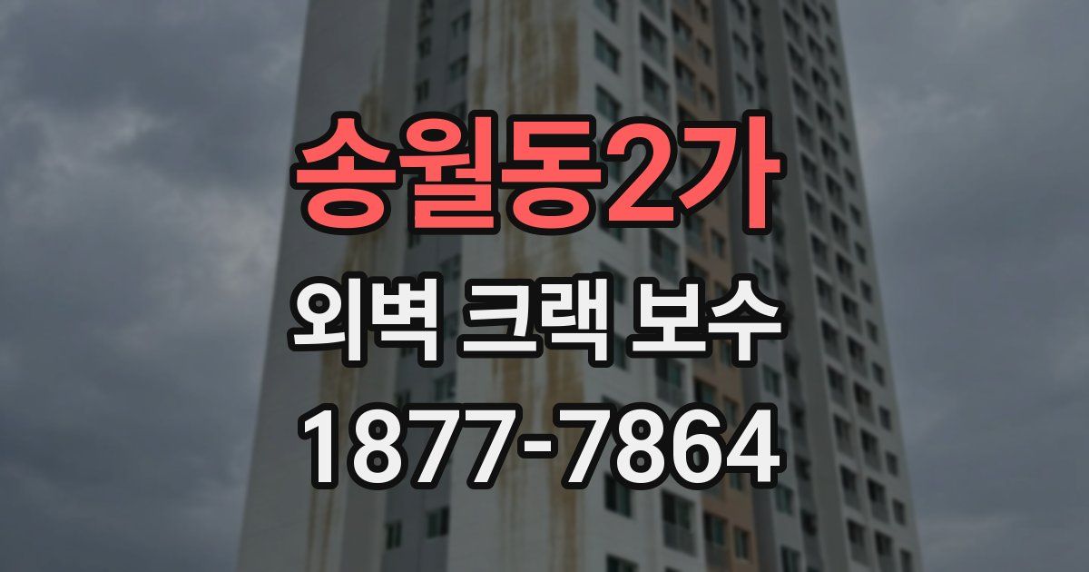 송월동2가 외벽 크랙 보수