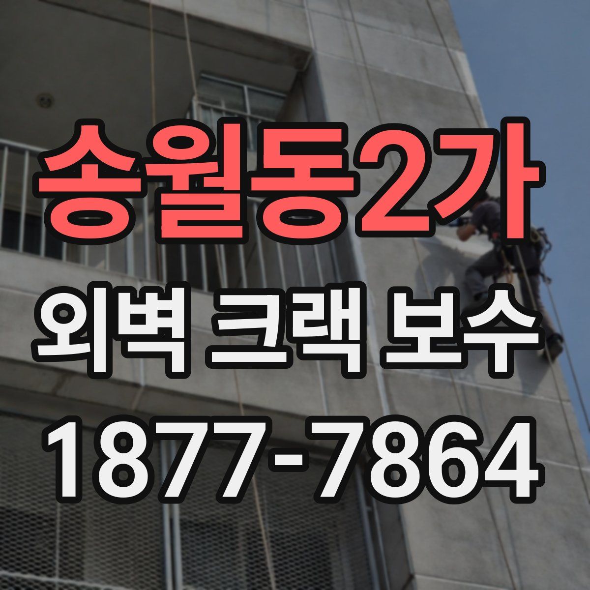 송월동2가 외벽 크랙 보수