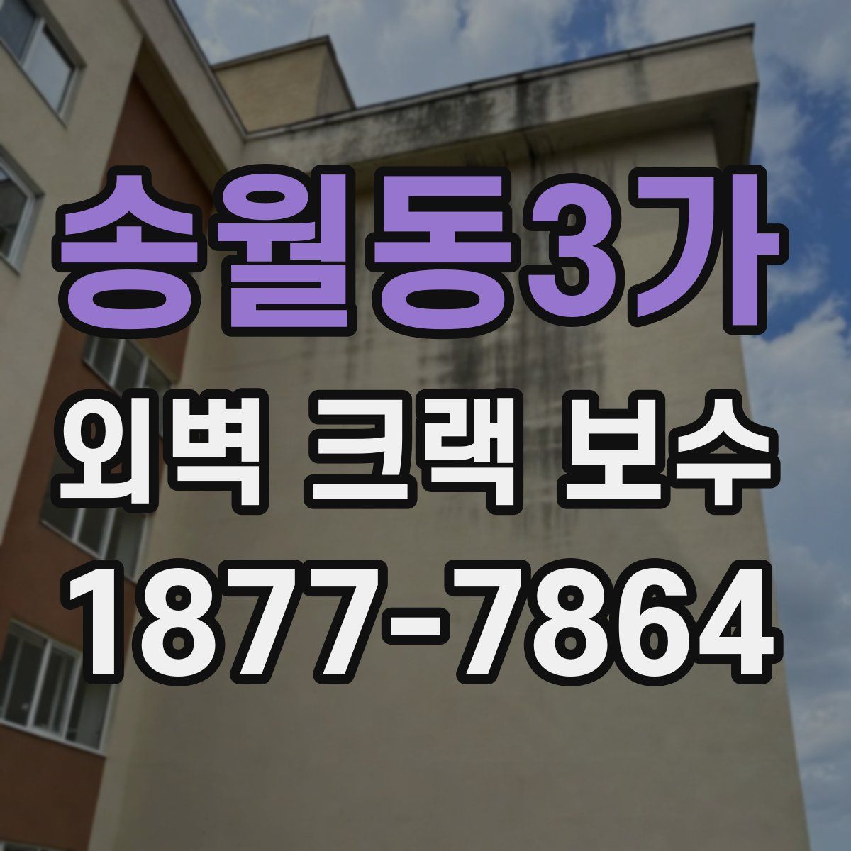 송월동3가 외벽 크랙 보수