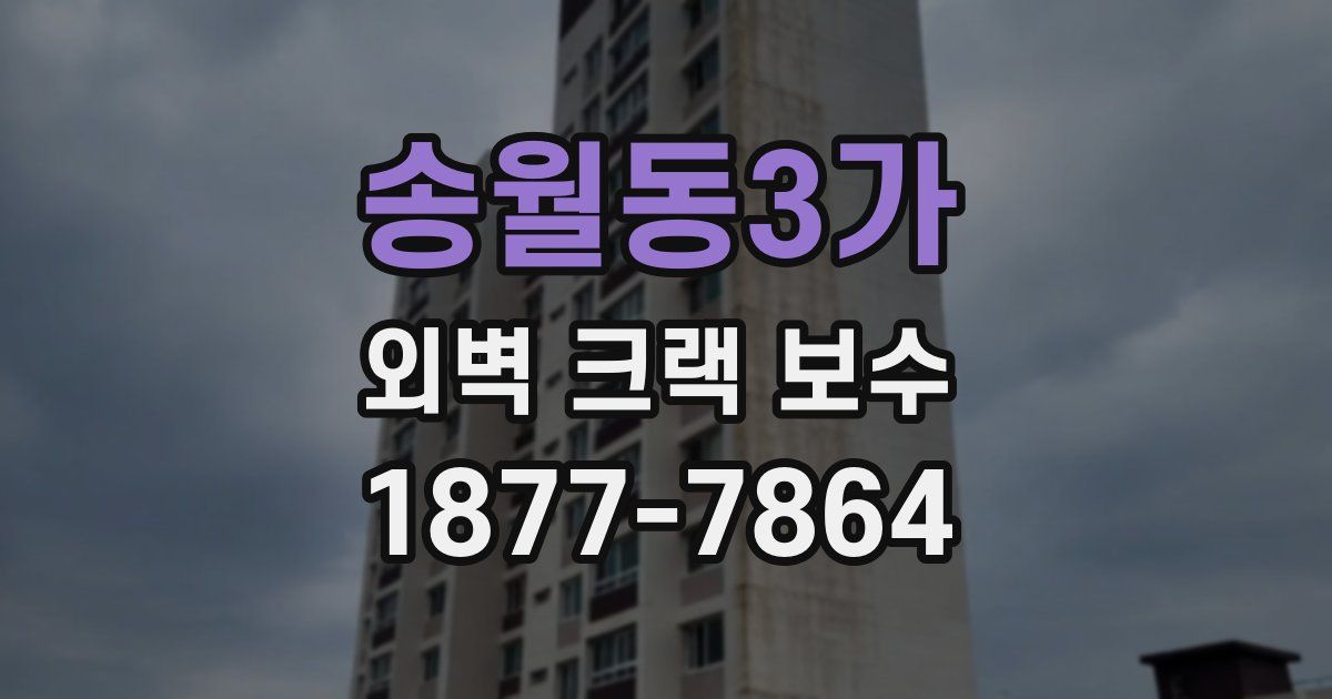 송월동3가 외벽 크랙 보수