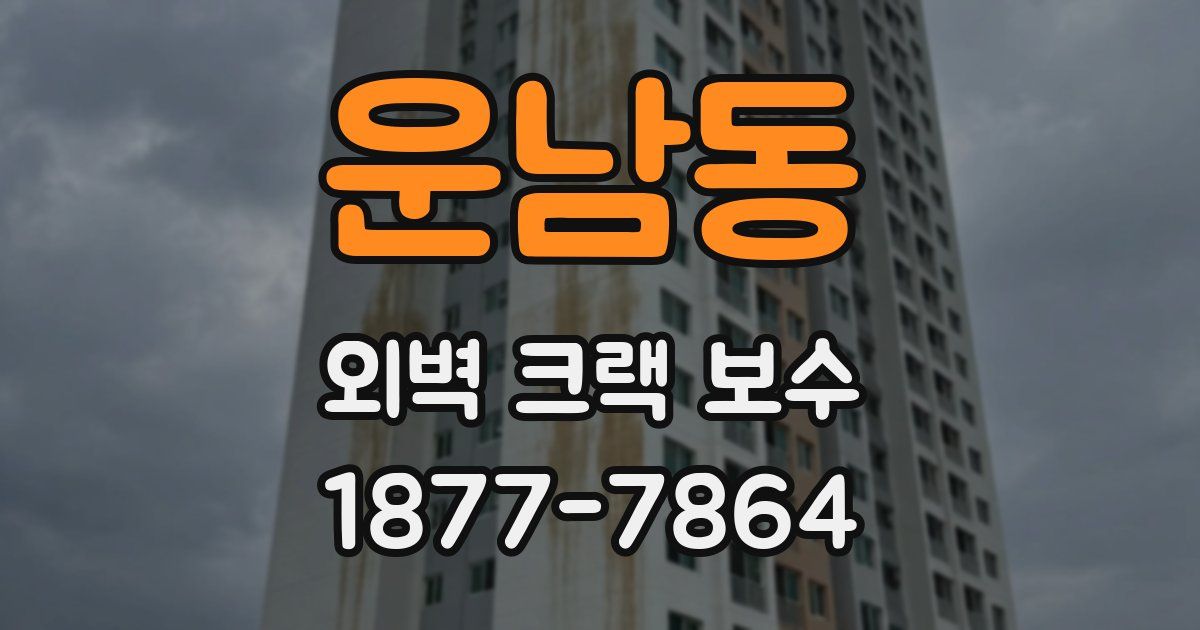 운남동 외벽 크랙 보수