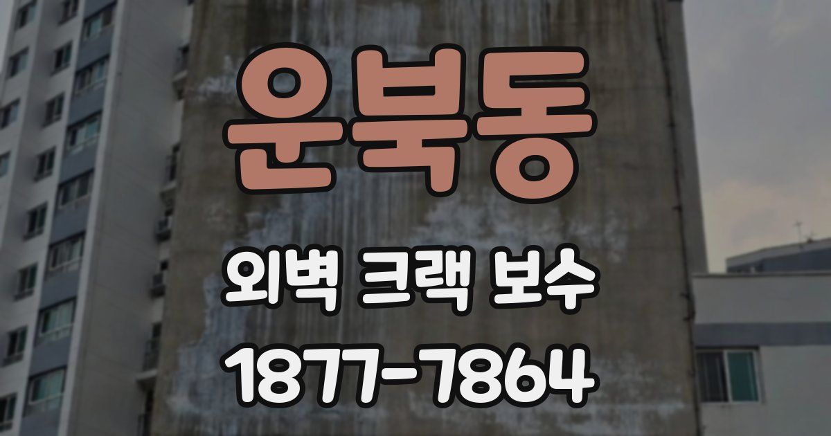 운북동 외벽 크랙 보수