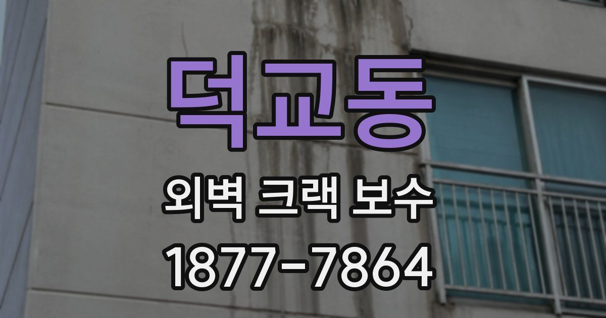 덕교동 외벽 크랙 보수
