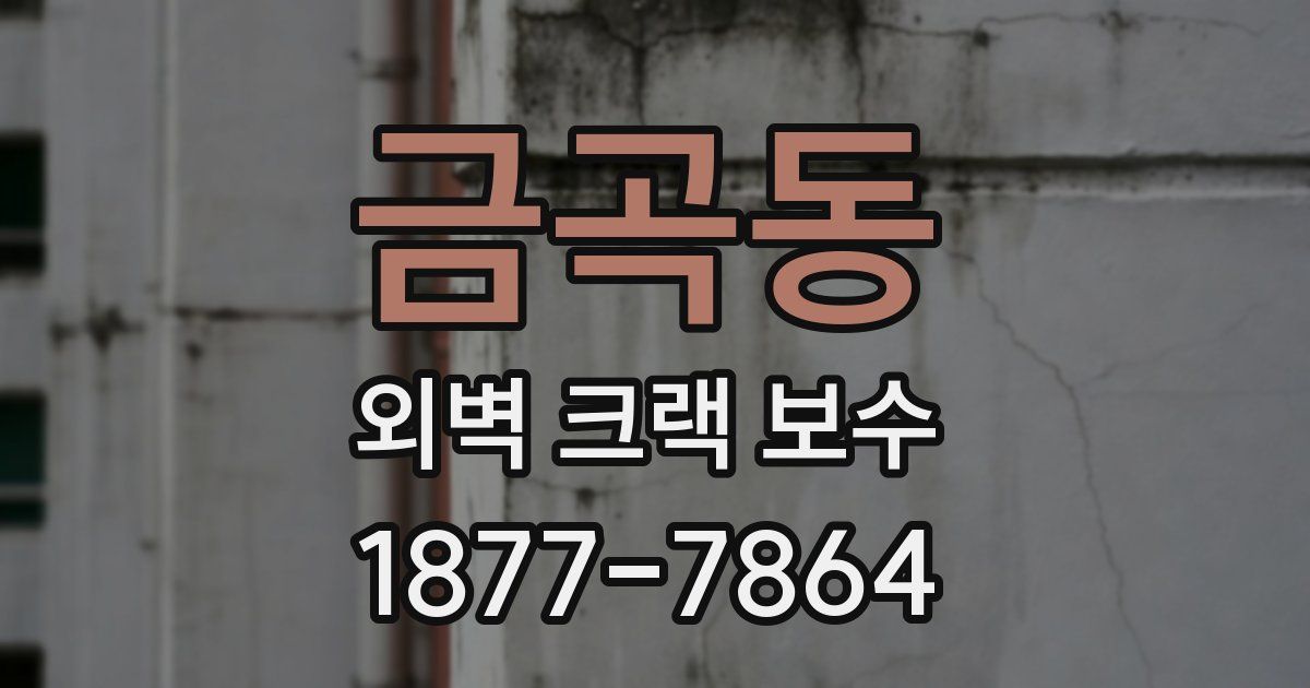 금곡동 외벽 크랙 보수
