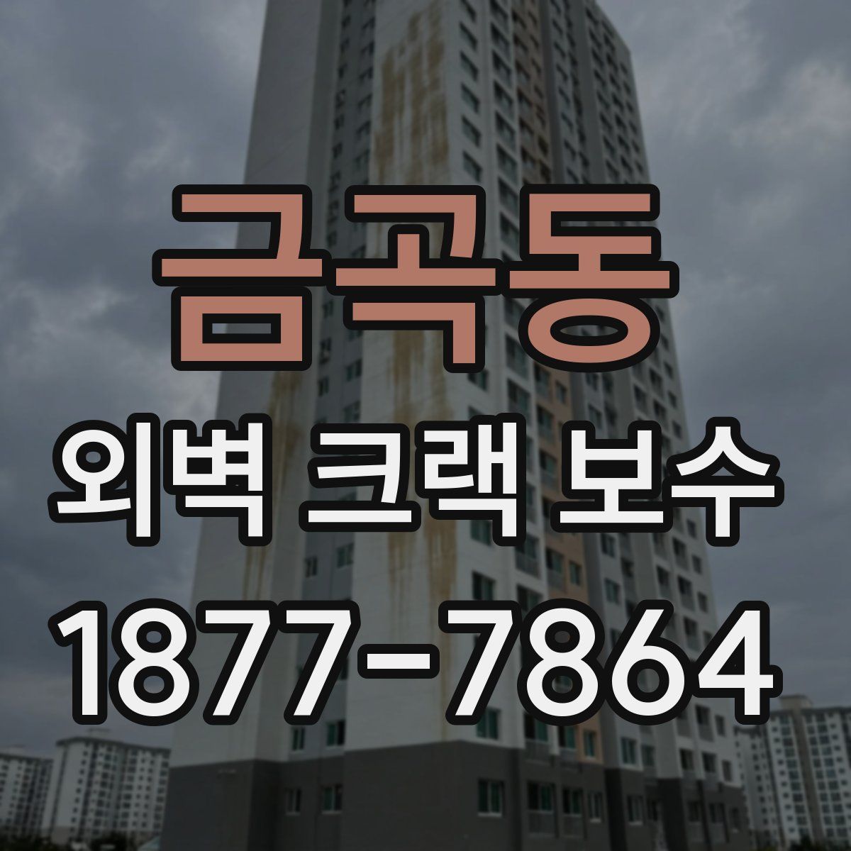 금곡동 외벽 크랙 보수