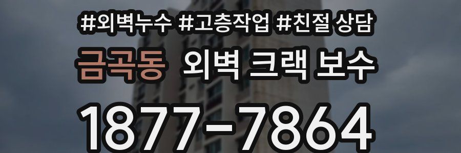 금곡동 외벽 크랙 보수