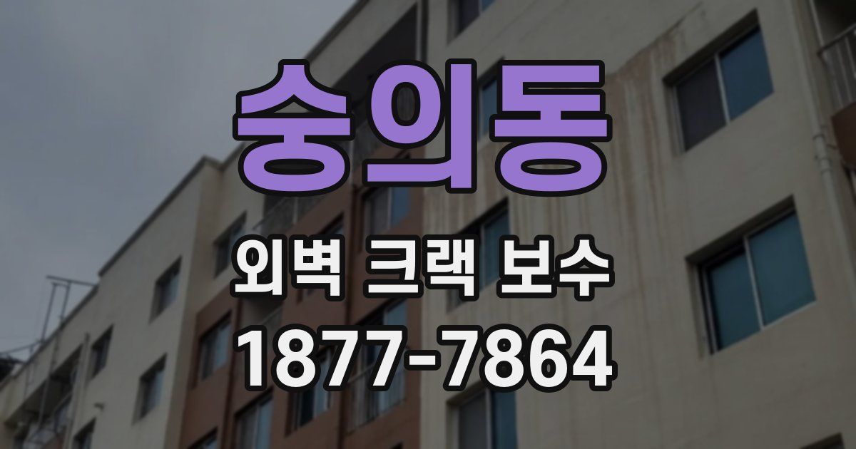 숭의동 외벽 크랙 보수