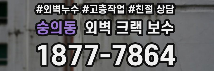 숭의동 외벽 크랙 보수