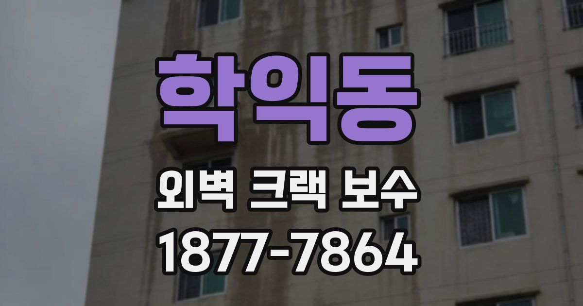 학익동 외벽 크랙 보수