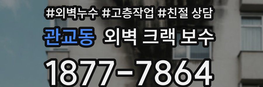 관교동 외벽 크랙 보수