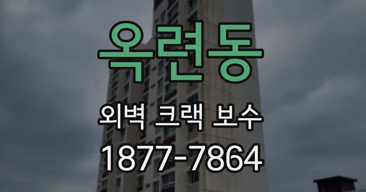 옥련동 외벽 크랙 보수