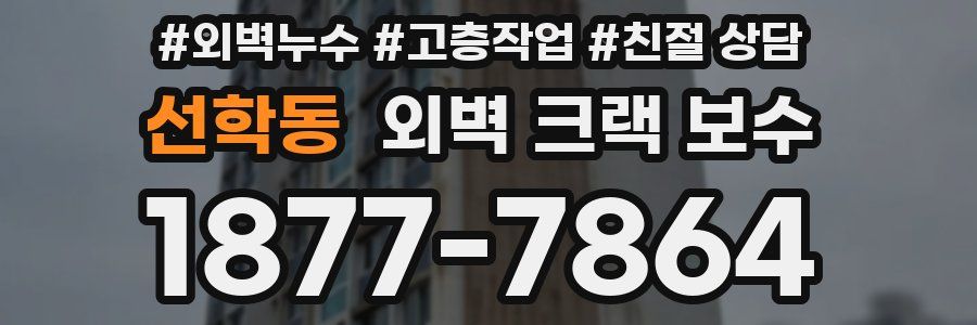 선학동 외벽 크랙 보수