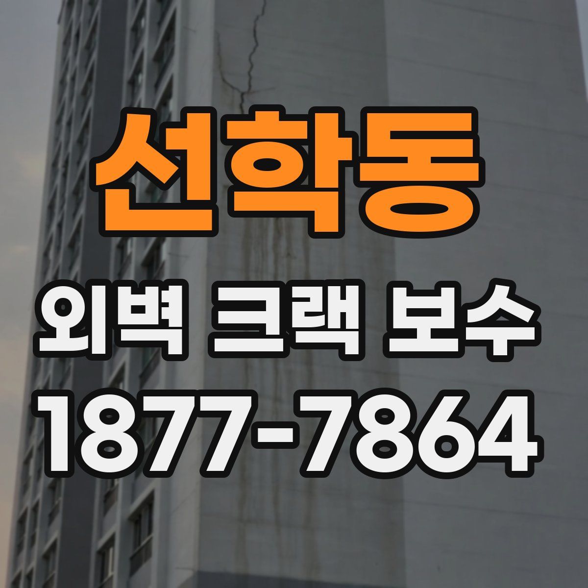 선학동 외벽 크랙 보수