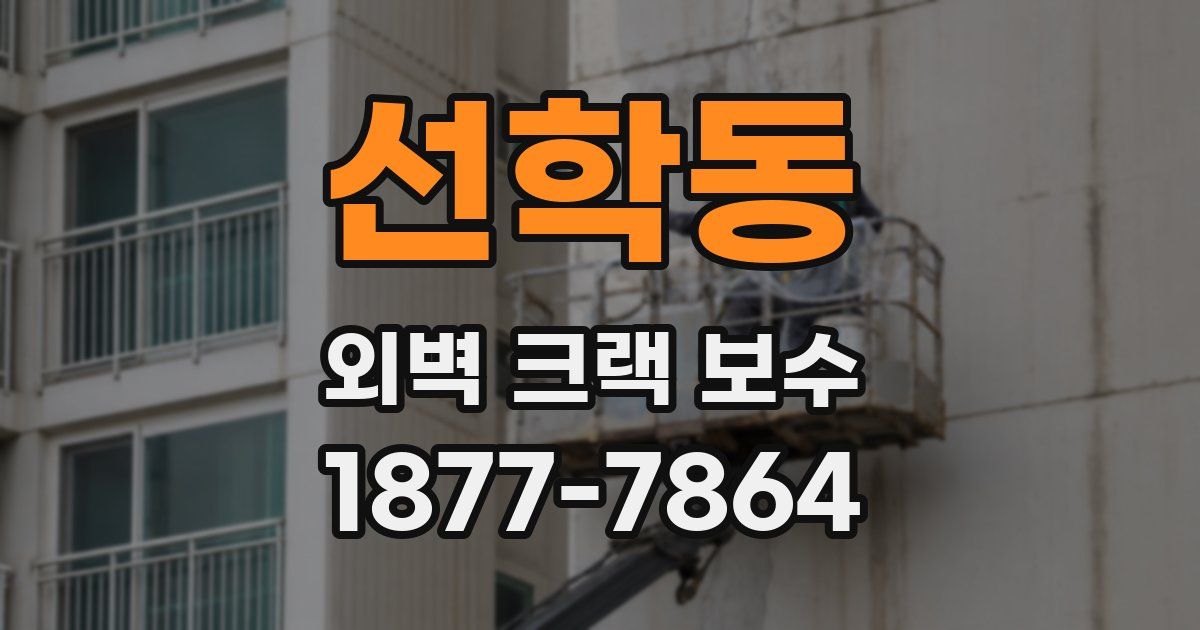 선학동 외벽 크랙 보수