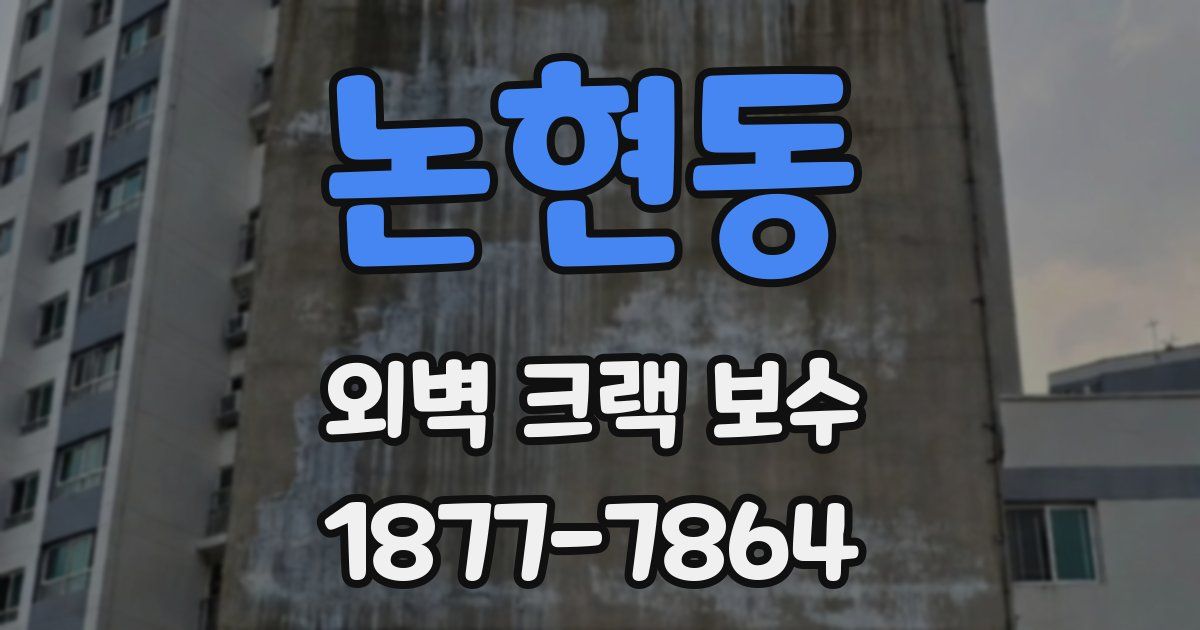 논현동 외벽 크랙 보수