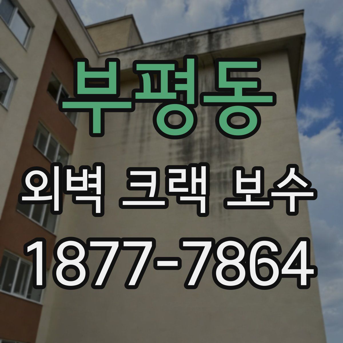 부평동 외벽 크랙 보수