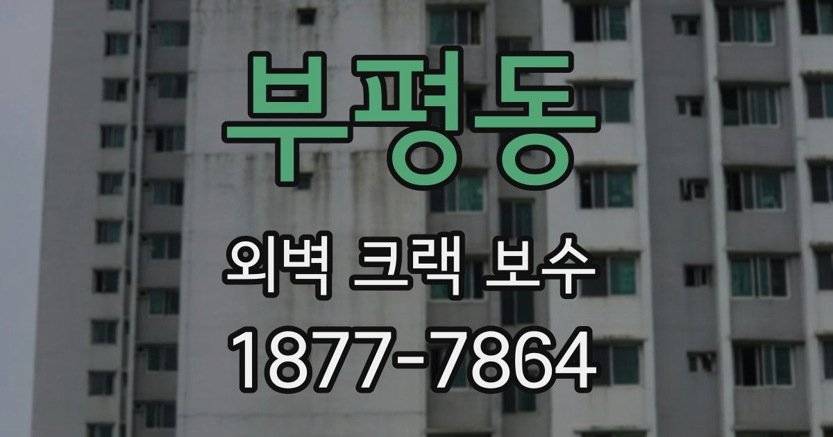 부평동 외벽 크랙 보수