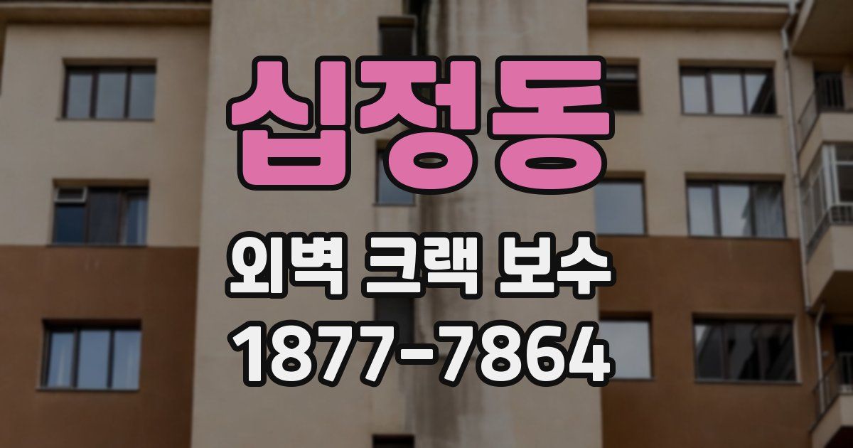 십정동 외벽 크랙 보수