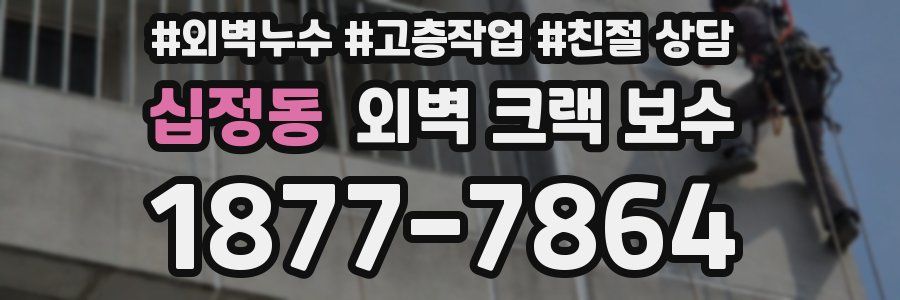 십정동 외벽 크랙 보수
