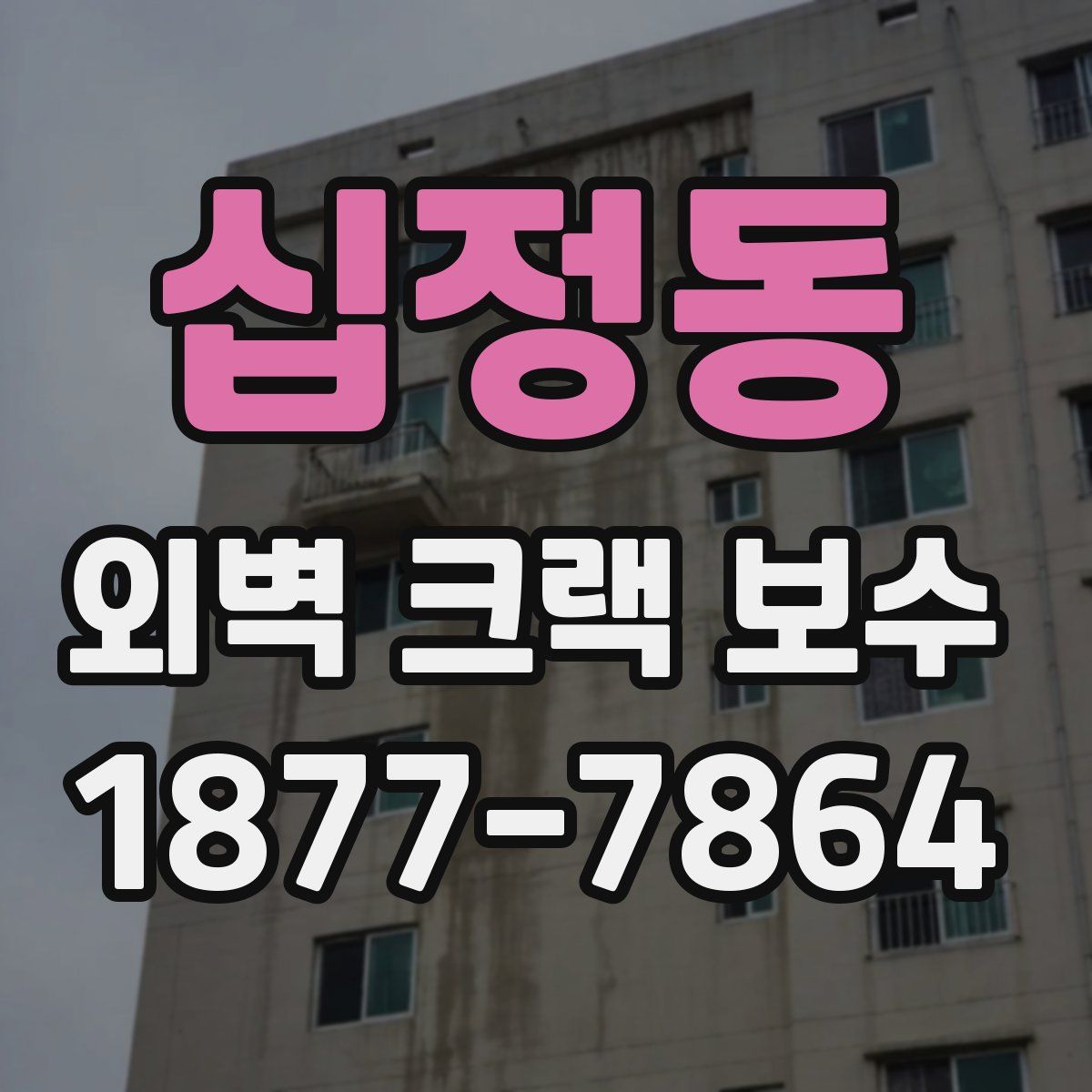 십정동 외벽 크랙 보수