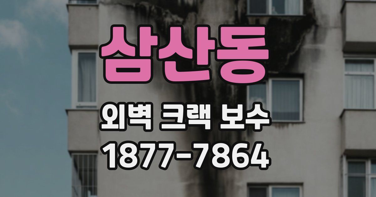 삼산동 외벽 크랙 보수
