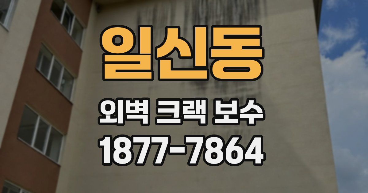 일신동 외벽 크랙 보수