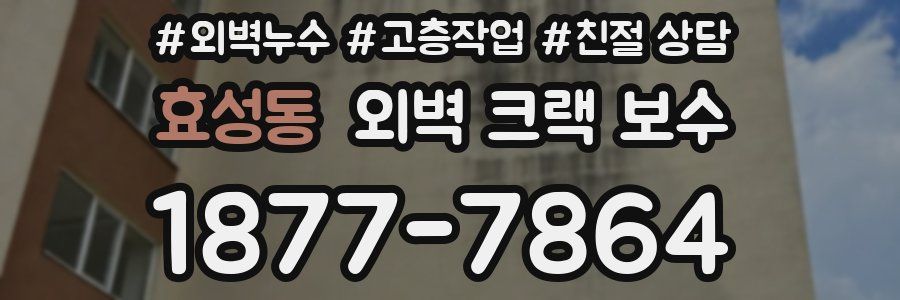 효성동 외벽 크랙 보수